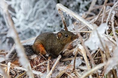 《守望先锋2》推出源氏与一拳超人联动皮肤